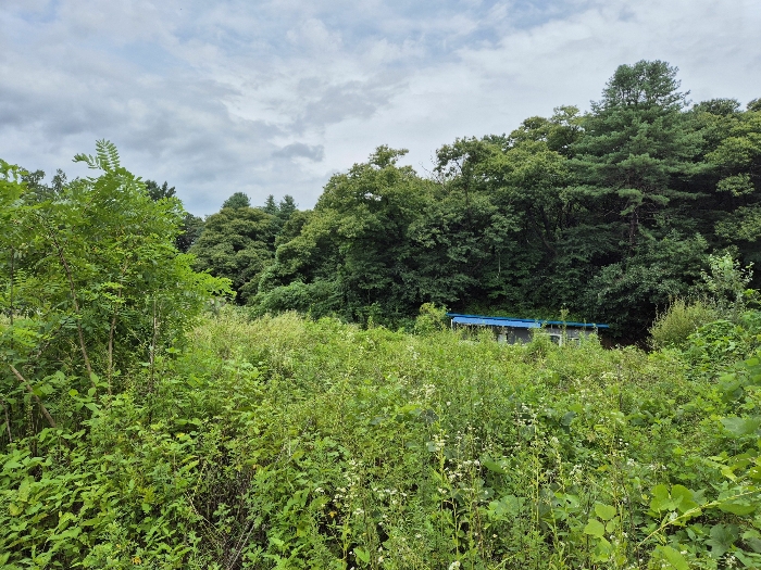 경기도 연천군 연천읍 옥산리 400-7 외 9필지 임야 경매 사진 28