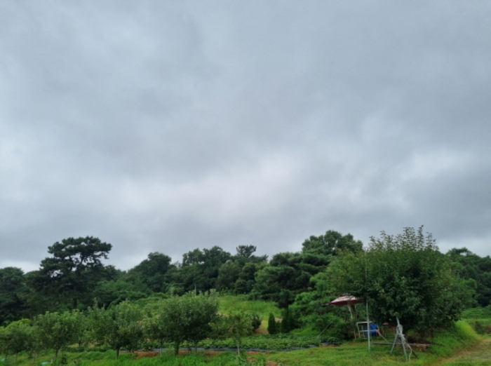 경기도 화성시 서신면 송교리 산70-4 외 7필지 임야 경매 사진 1