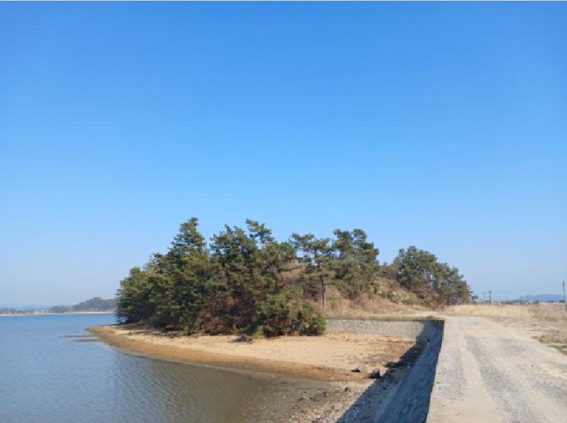 충청남도 태안군 소원면 파도리 543-609 외 8필지 임야 경매 사진 20