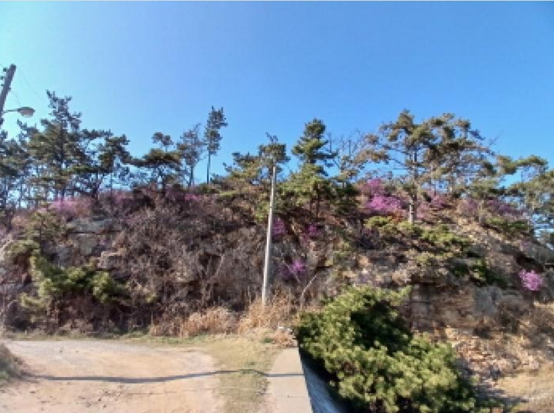 충청남도 태안군 소원면 파도리 543-609 외 8필지 임야 경매 사진 27