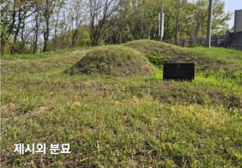 경기도 이천시 마장면 표교리 산24-1 임야 경매 사진 5