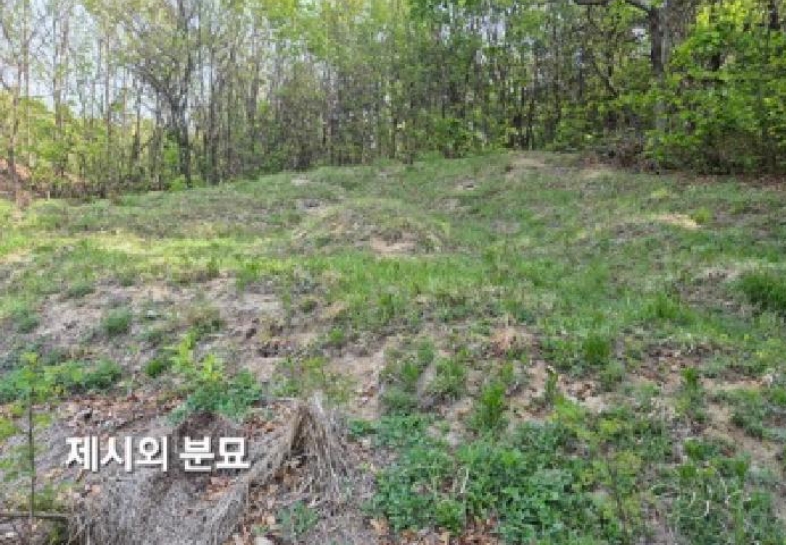경기도 이천시 마장면 표교리 산24-1 임야 경매 사진 7