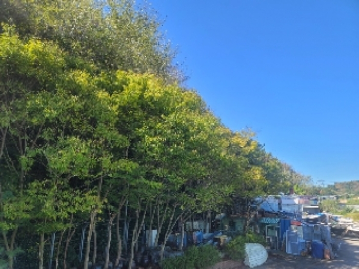 경남 통영시 용남면 원평리 779-225 외 3필지 위험물저장및처리시설 경매 사진 14