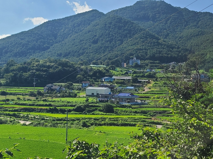 경상남도 고성군 거류면 신용리 1457 외 3필지 전 경매 사진 11