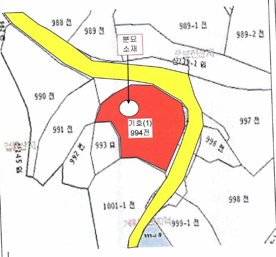 전라남도 완도군 신지면 월양리 994 전 경매 사진 22