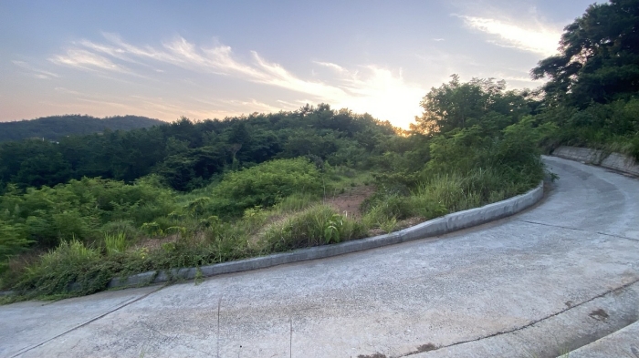 전라남도 완도군 신지면 월양리 994 전 경매 사진 19