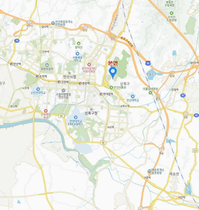경기 안산시 상록구 일동 547-5, 301호 다세대주택 경매 사진 13