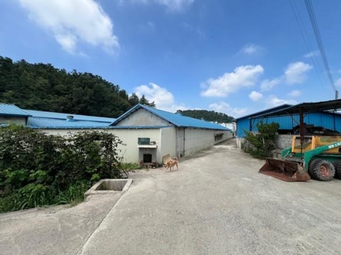 경남 창녕군 성산면 정녕리 900-14 외 12필지 동물및식물관련시설 경매 사진 26