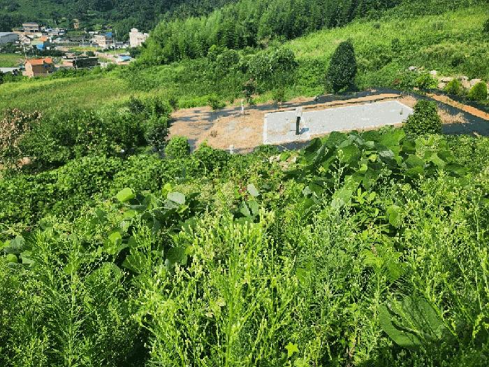 전라남도 무안군 삼향읍 남악리 10-4 외 12필지 단독주택 경매 사진 22