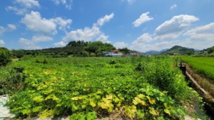 경상남도 함안군 칠서면 용성리 366 외 2필지 전 경매 사진 1