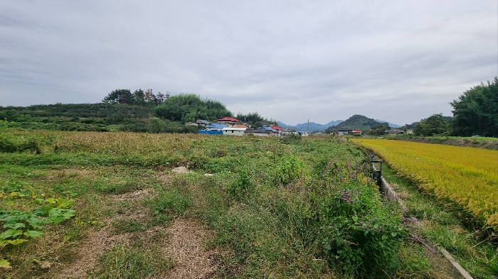 경상남도 함안군 칠서면 용성리 366 외 2필지 전 경매 사진 3