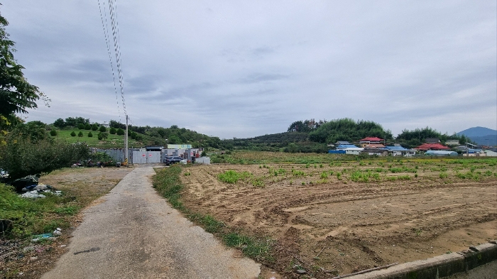 경상남도 함안군 칠서면 용성리 366 외 2필지 전 경매 사진 4