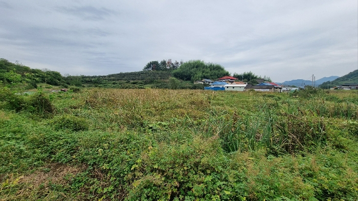 경상남도 함안군 칠서면 용성리 366 외 2필지 전 경매 사진 5