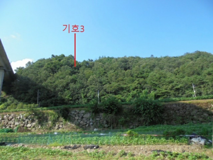 충청북도 충주시 대소원면 문주리 725-6 외 1필지 묘지 경매 사진 11