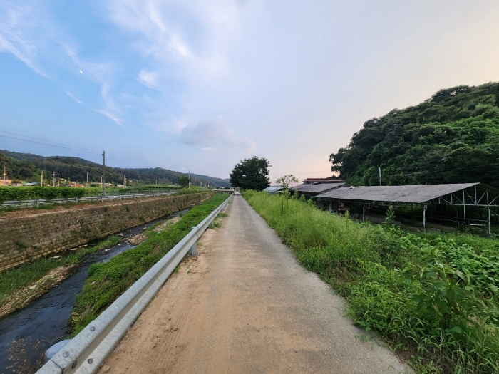 경기도 연천군 군남면 옥계리 산99 임야 경매 사진 16
