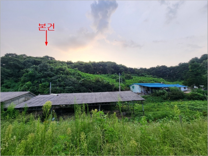 경기도 연천군 군남면 옥계리 산99 임야 경매 사진 19