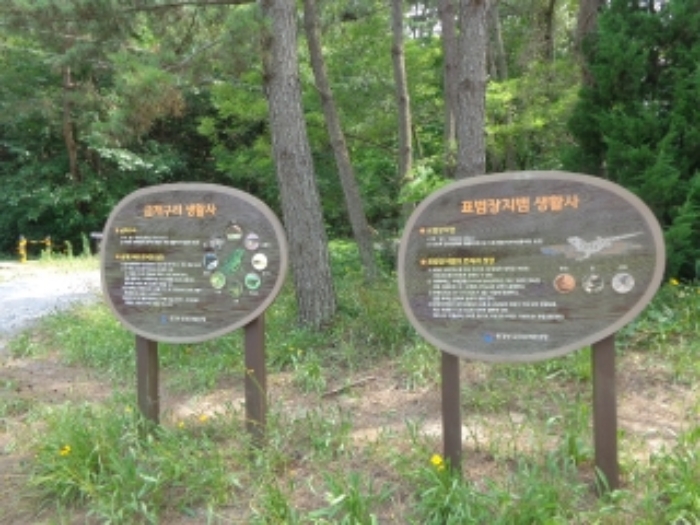 충청남도 태안군 원북면 신두리 산305-2 임야 경매 사진 50