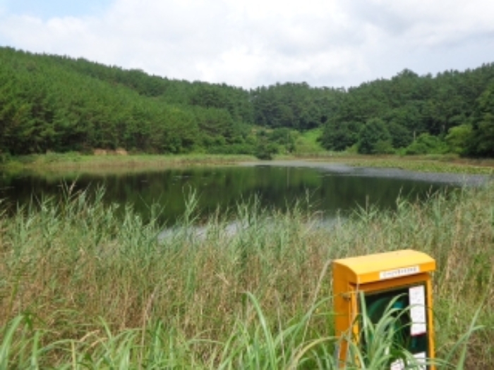 충청남도 태안군 원북면 신두리 산305-2 임야 경매 사진 51