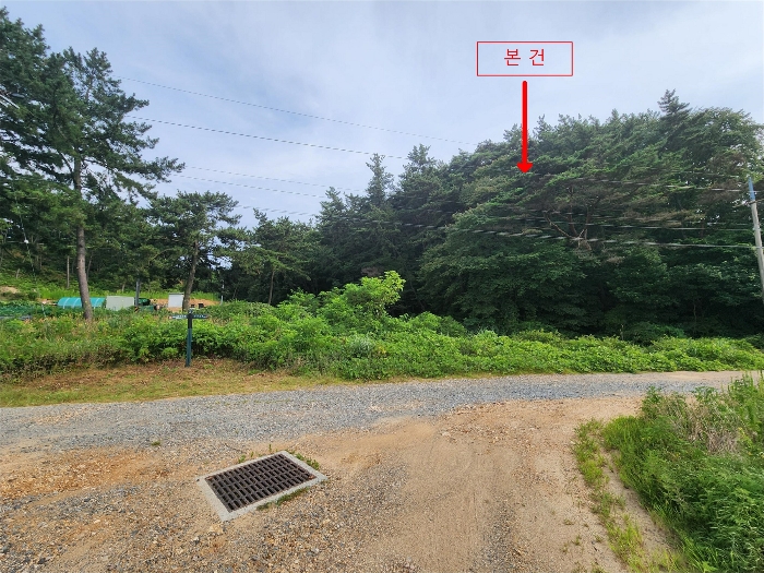 충청남도 태안군 원북면 신두리 산305-2 임야 경매 사진 57