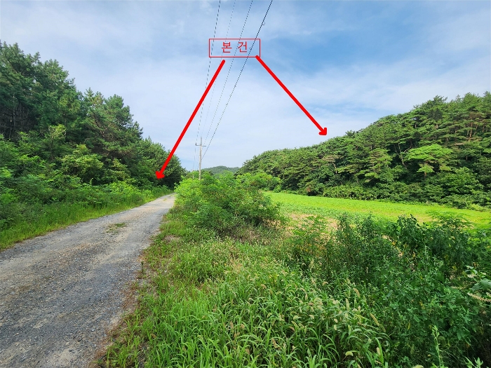 충청남도 태안군 원북면 신두리 산305-2 임야 경매 사진 58