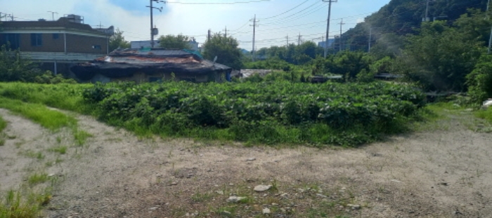경기도 연천군 청산면 대전리 507-2 외 1필지 대지 경매 사진 2