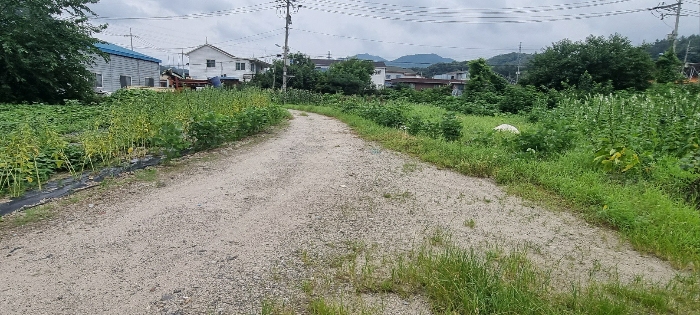 경기도 연천군 청산면 대전리 507-2 외 1필지 대지 경매 사진 12