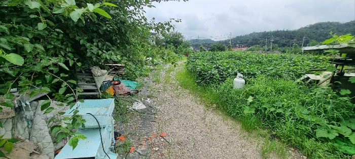 경기도 연천군 청산면 대전리 507-2 외 1필지 대지 경매 사진 13