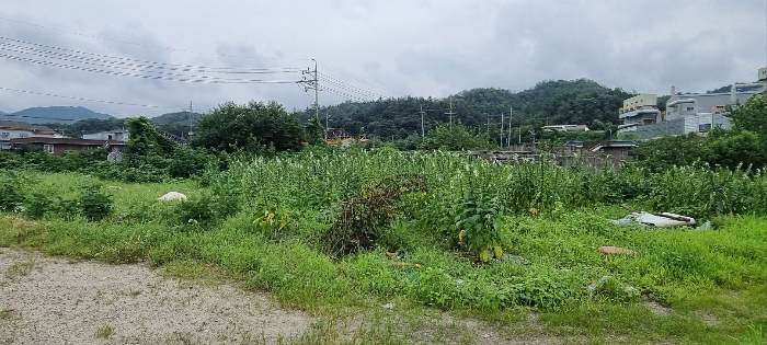 경기도 연천군 청산면 대전리 507-2 외 1필지 대지 경매 사진 17