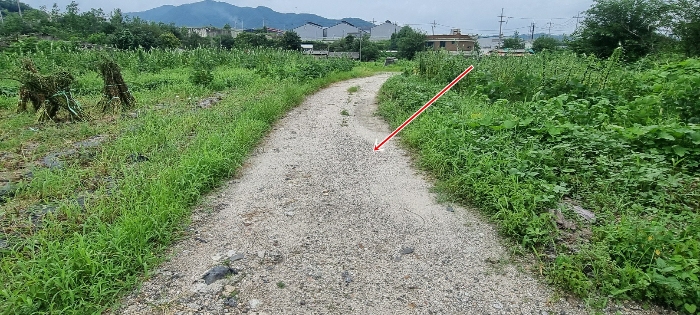 경기도 연천군 청산면 대전리 507-2 외 1필지 대지 경매 사진 18
