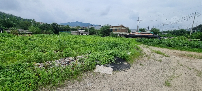 경기도 연천군 청산면 대전리 507-2 외 1필지 대지 경매 사진 19