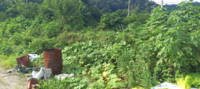 경기도 연천군 청산면 대전리 507-2 외 1필지 대지 경매 사진 3