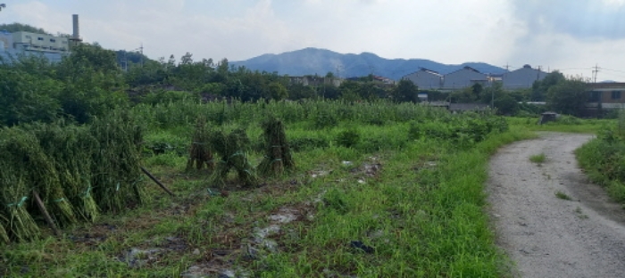 경기도 연천군 청산면 대전리 507-2 외 1필지 대지 경매 사진 4