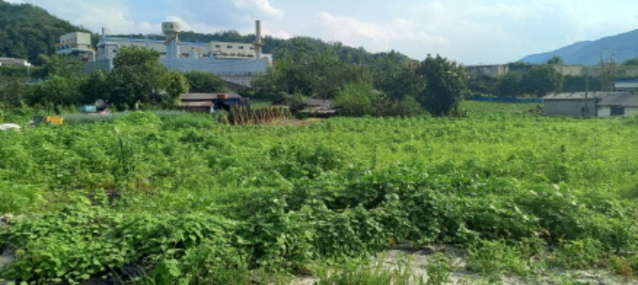 경기도 연천군 청산면 대전리 507-2 외 1필지 대지 경매 사진 7