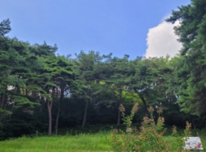 경상남도 하동군 옥종면 대곡리 614-6 전 경매 사진 14