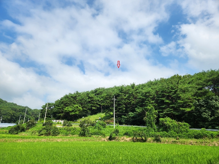 경상남도 하동군 옥종면 대곡리 614-6 전 경매 사진 21