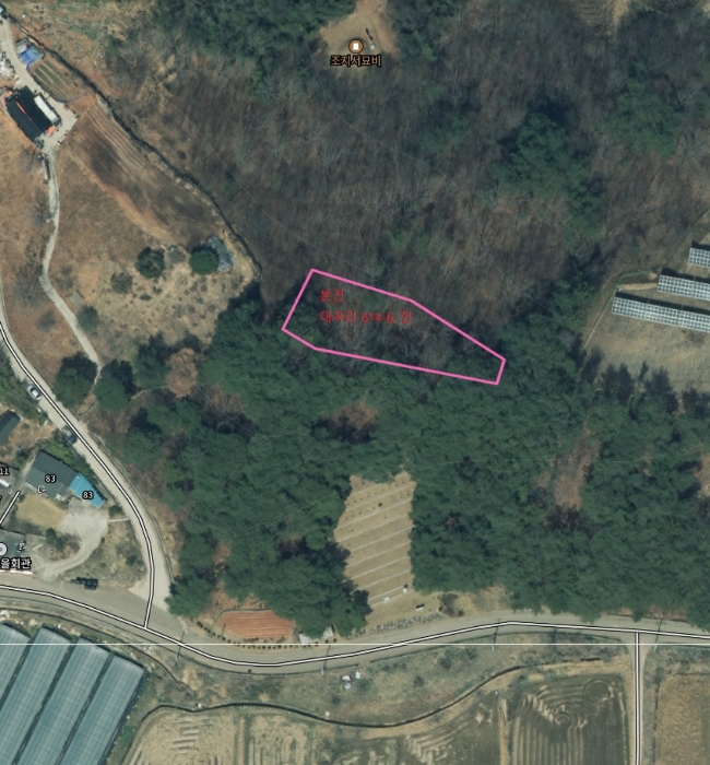 경상남도 하동군 옥종면 대곡리 614-6 전 경매 사진 23