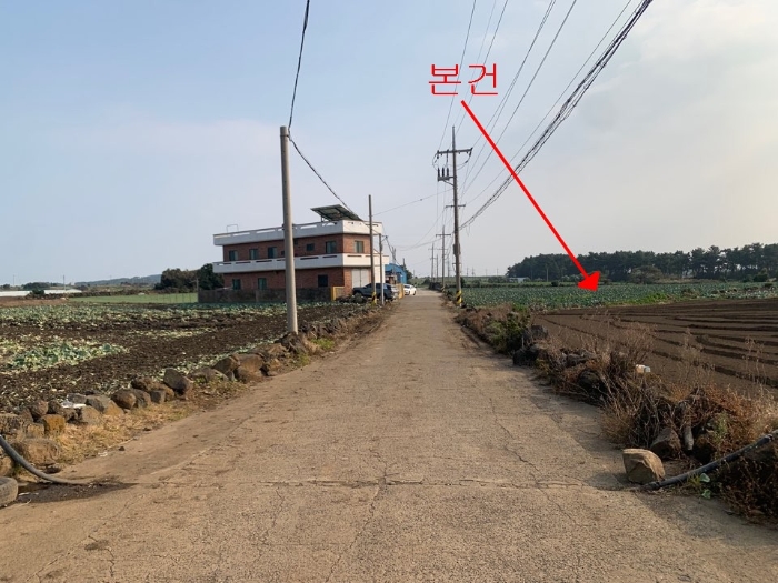 제주특별자치도 서귀포시 대정읍 하모리 613-4 전 경매 사진 15