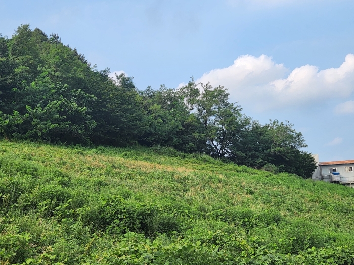 경상남도 양산시 주남동 925-50 외 9필지 임야 경매 사진 14