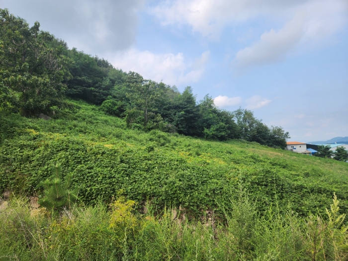 경상남도 양산시 주남동 925-50 외 9필지 임야 경매 사진 15