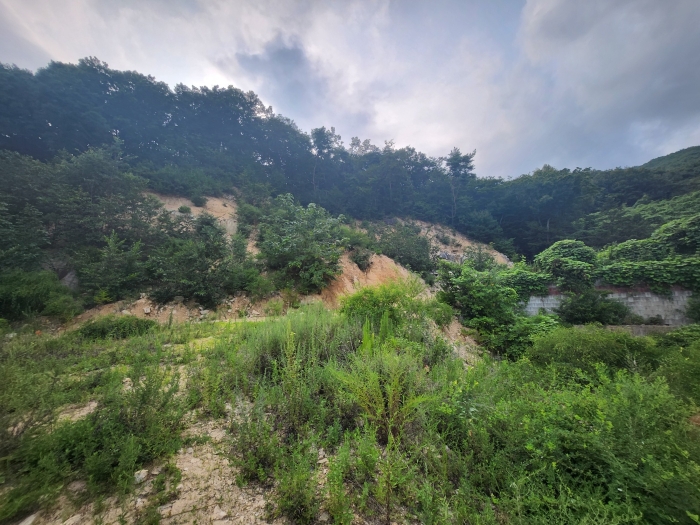 경상남도 양산시 주남동 925-50 외 9필지 임야 경매 사진 21