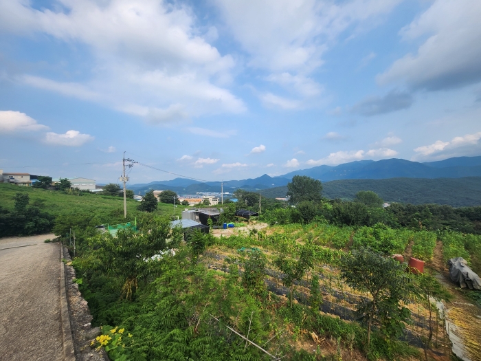 경상남도 양산시 주남동 925-50 외 9필지 임야 경매 사진 22