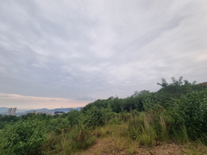 전라남도 광양시 마동 1020-8 외 6개호 외 17필지 근린상가 경매 사진 34