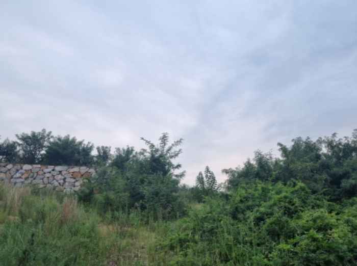 전라남도 광양시 마동 1020-8 외 6개호 외 17필지 근린상가 경매 사진 6
