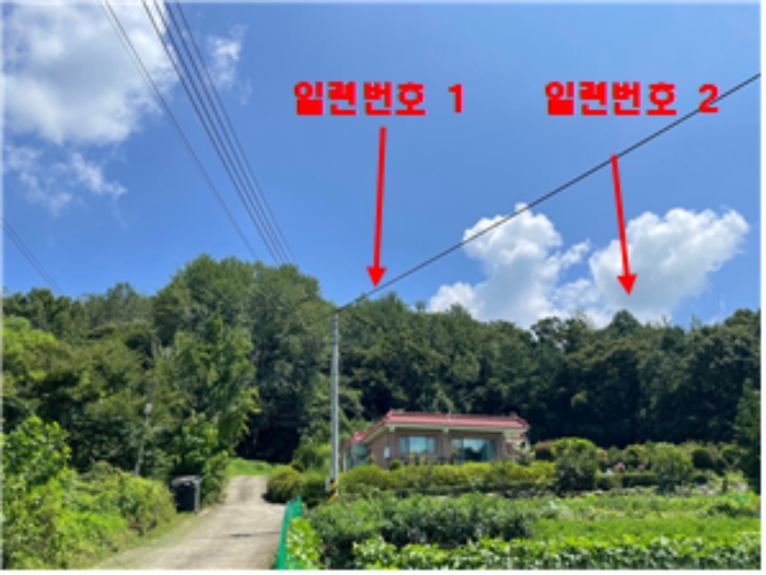 경기도 양평군 개군면 하자포리 190-6 임야 경매 사진 2