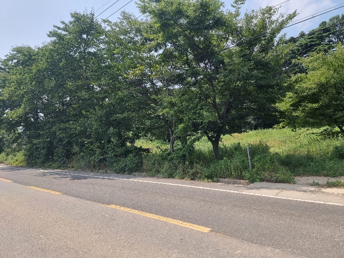 경상북도 포항시 북구 청하면 서정리 382 전 경매 사진 13