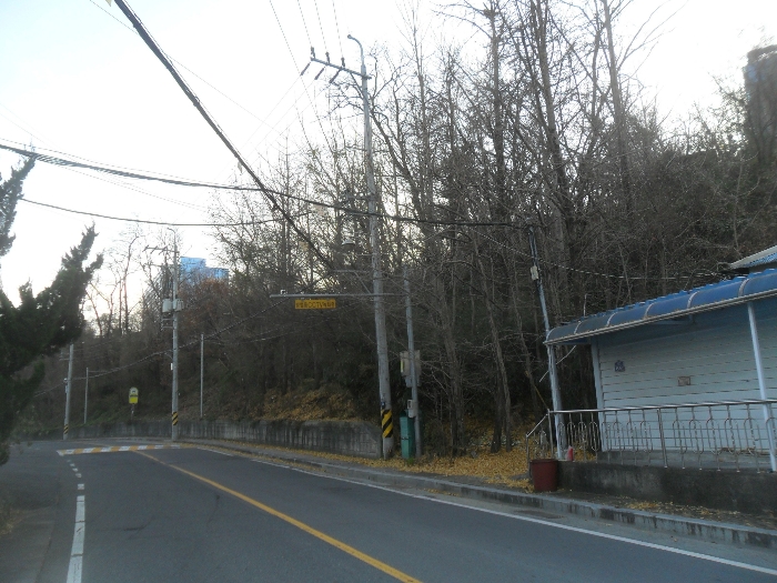 경상남도 창원시 마산회원구 내서읍 용담리 159-1 전 경매 사진 2