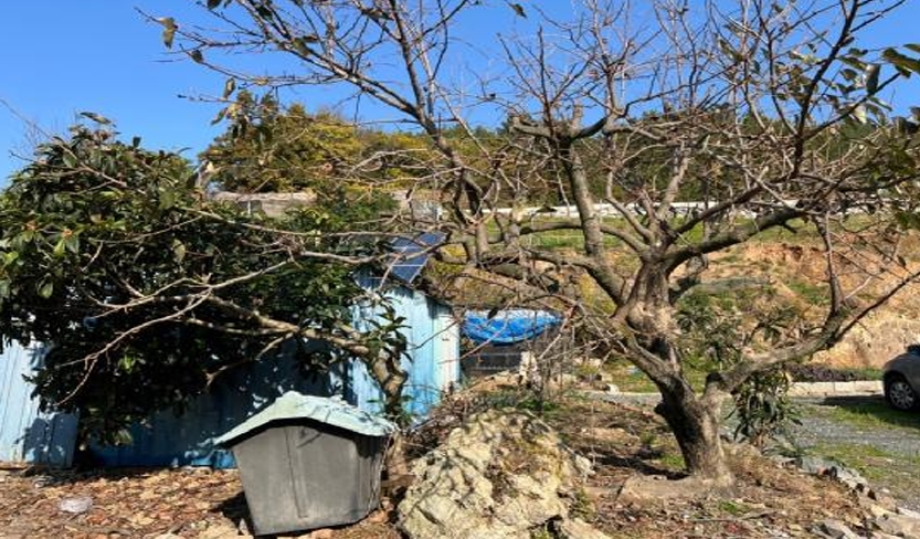 전라남도 완도군 약산면 우두리 1027-1 외 3필지 전 경매 사진 6