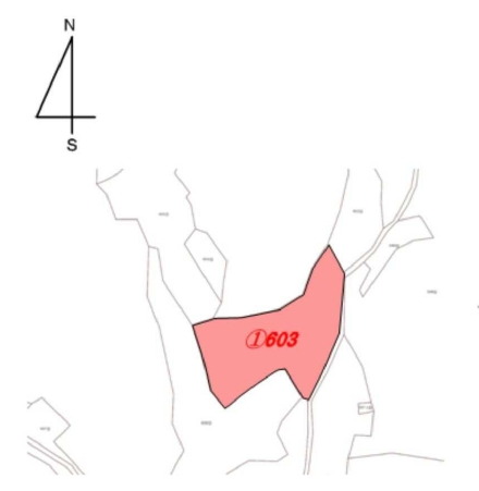 경기도 연천군 왕징면 동중리 603 전 경매 사진 8