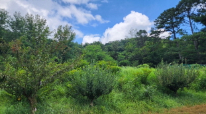 울산 울주군 답