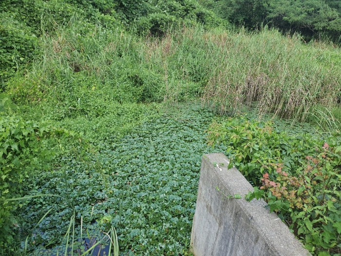 울산광역시 울주군 웅촌면 대대리 1421-1 외 2필지 답 경매 사진 5